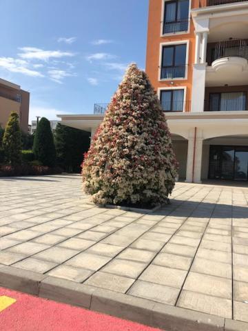 Apartment In Prestige Fort Beach Sveti Vlas Exteriér fotografie
